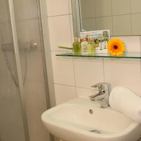 Arberschutzhaus بيت ضيافة بايريش أيزنشتاين