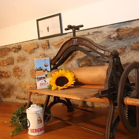 Arberschutzhaus 3* Bayerisch Eisenstein