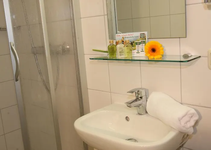 Arberschutzhaus 招待所 拜尔里舍艾森施泰恩